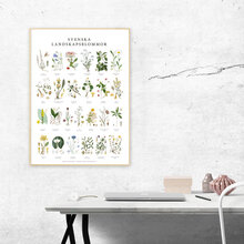 Poster Landskapsblommor 500x700mm